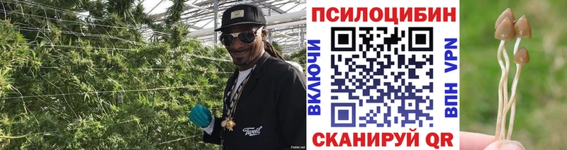 Псилоцибиновые грибы Psilocybe  дарнет шоп  hydra ссылки  Челябинск 