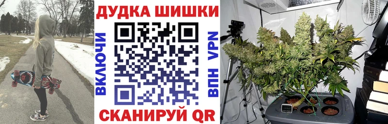 Бошки Шишки план  блэк спрут как зайти  Челябинск 